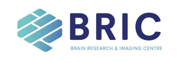 BrainBric Profile Banner