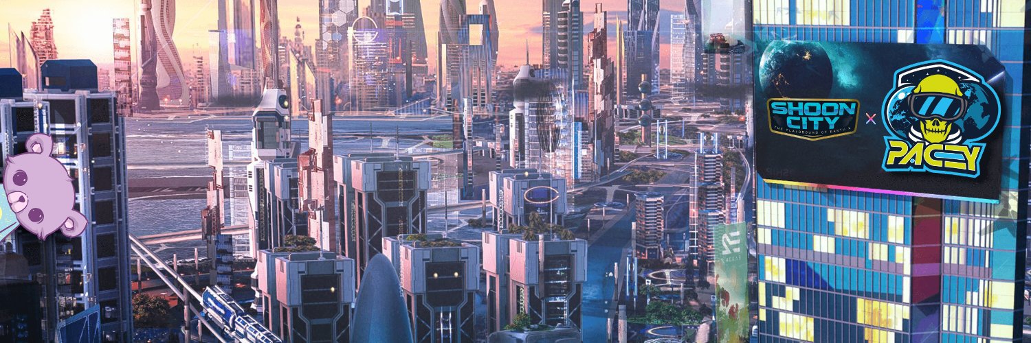 Pacey | Shoon City banner