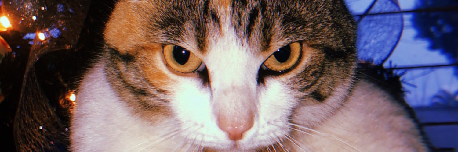 Abril_arch's profile banner image