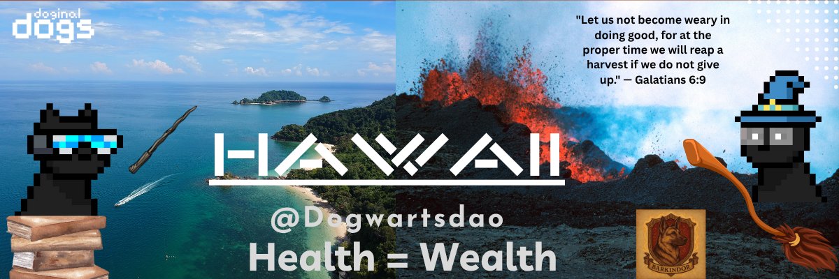 Hawaii's banner