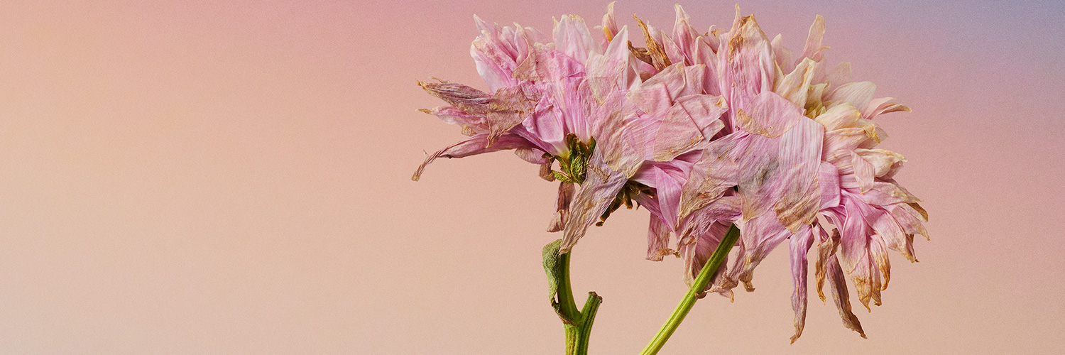 KC Studio Magazine banner