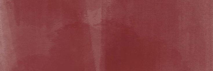 a 🪽⭐️ banner