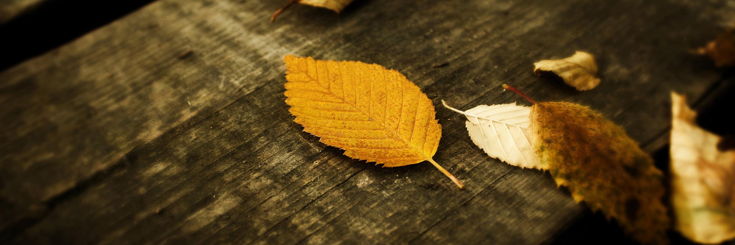 AI投资播客 banner