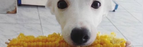 _chintuli's profile banner image