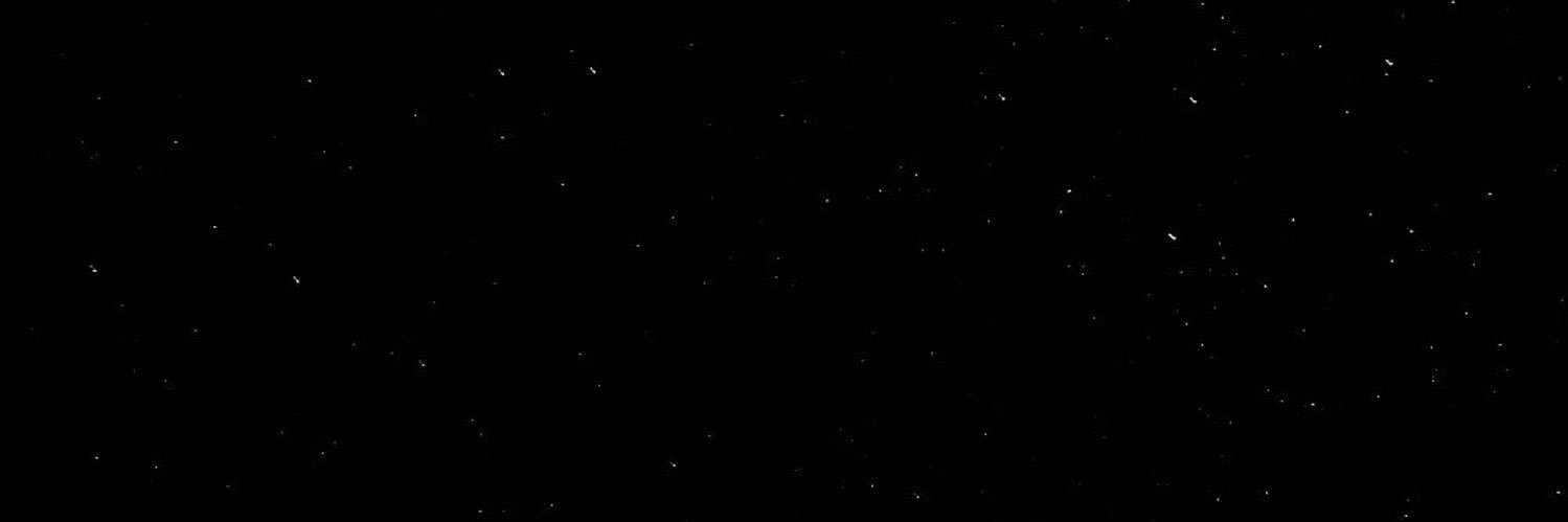 MingoRipp's profile banner image