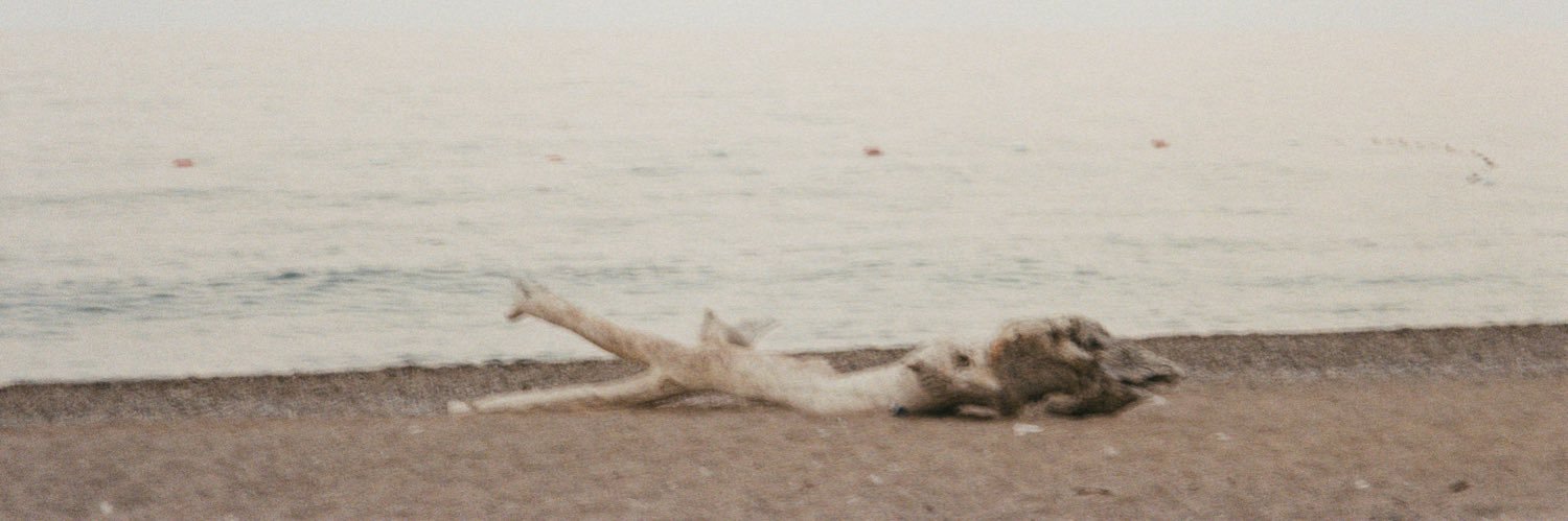 𝐝𝐞𝐬 banner