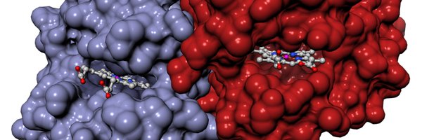 BiophysicsColab Profile Banner