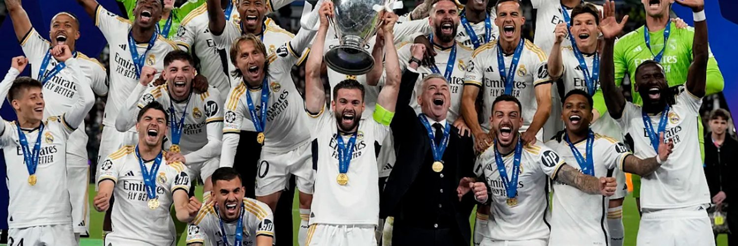 Calamardo banner