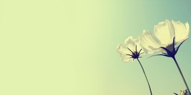 IeneHermans's profile banner image