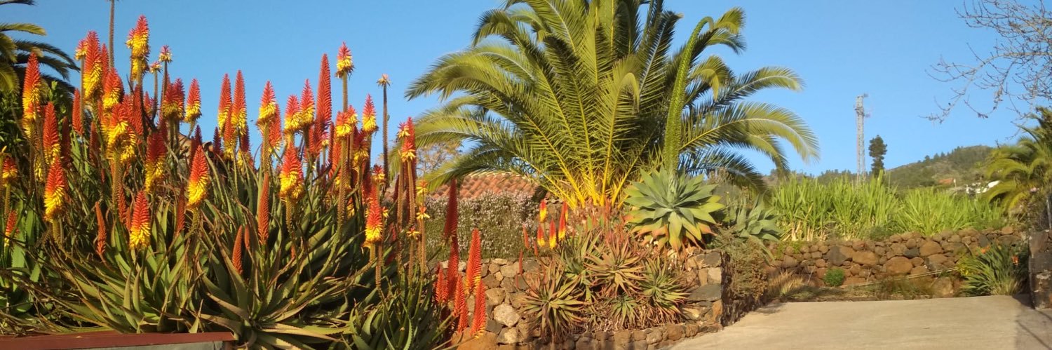 Vía banner