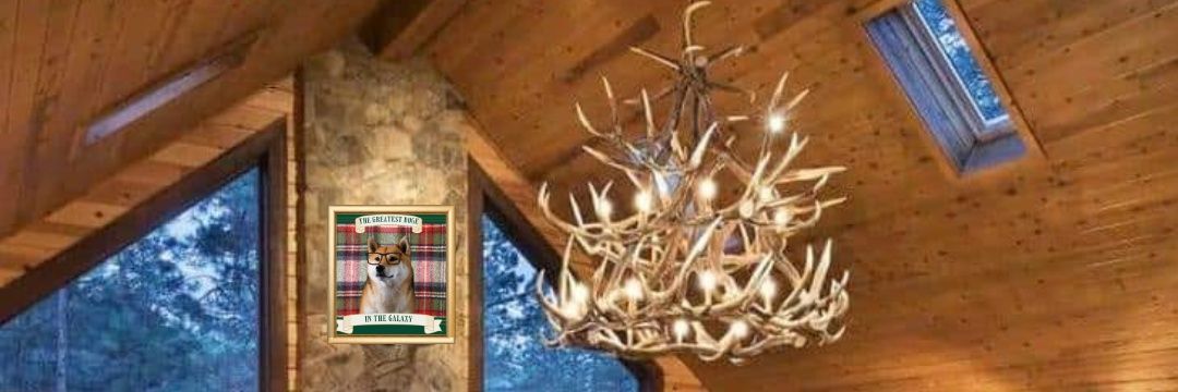 🇺🇲🌲Ðōge Lōge 🦌🦆 banner