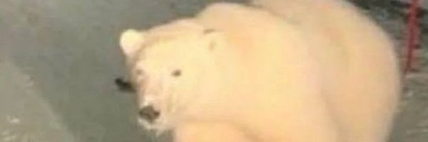 lucasoldale Profile Banner