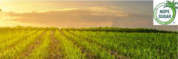 SugarWilmar Profile Banner