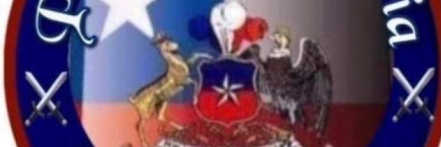 Ana Poupin 🇨🇱 banner