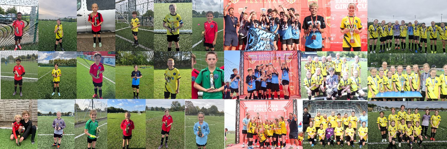 Tonbridge & Malling District Schools FA banner