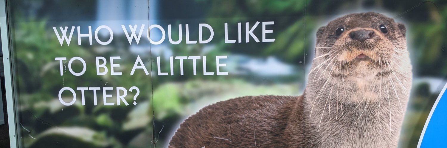 lindley banner