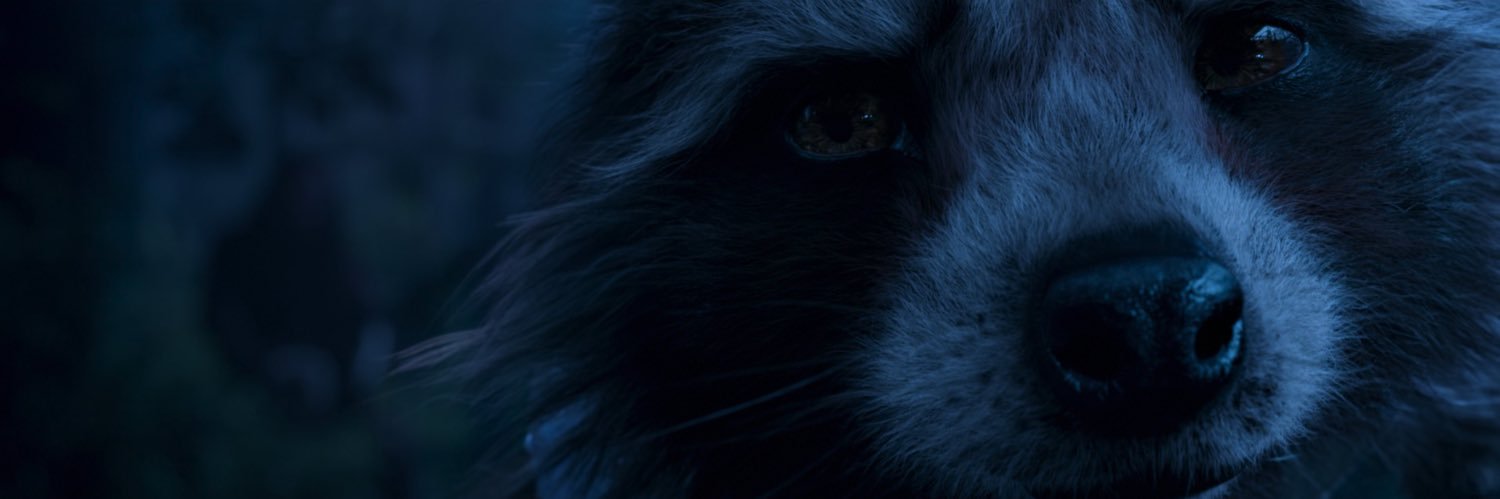 OceaneeDh's profile banner image
