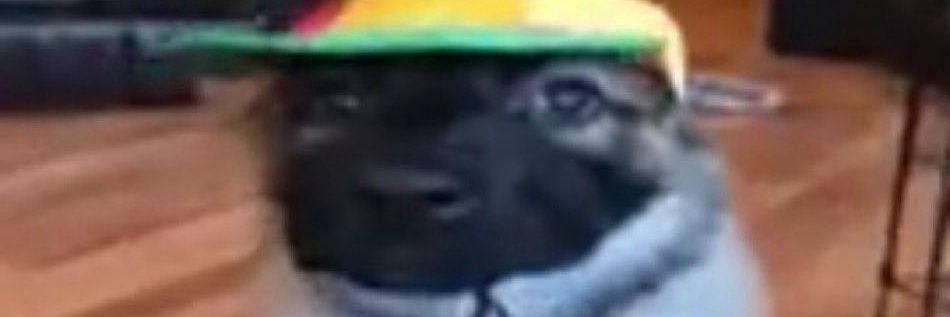 Kincat3's profile banner image