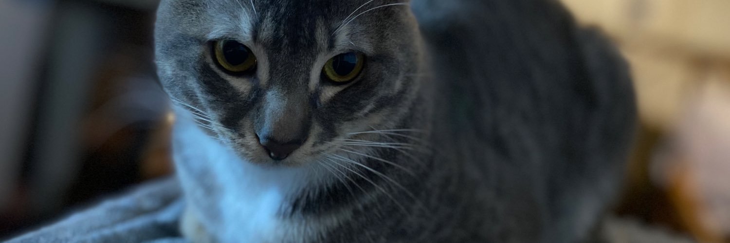Solcitto123's profile banner image
