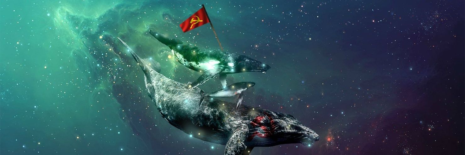 Space whale banner