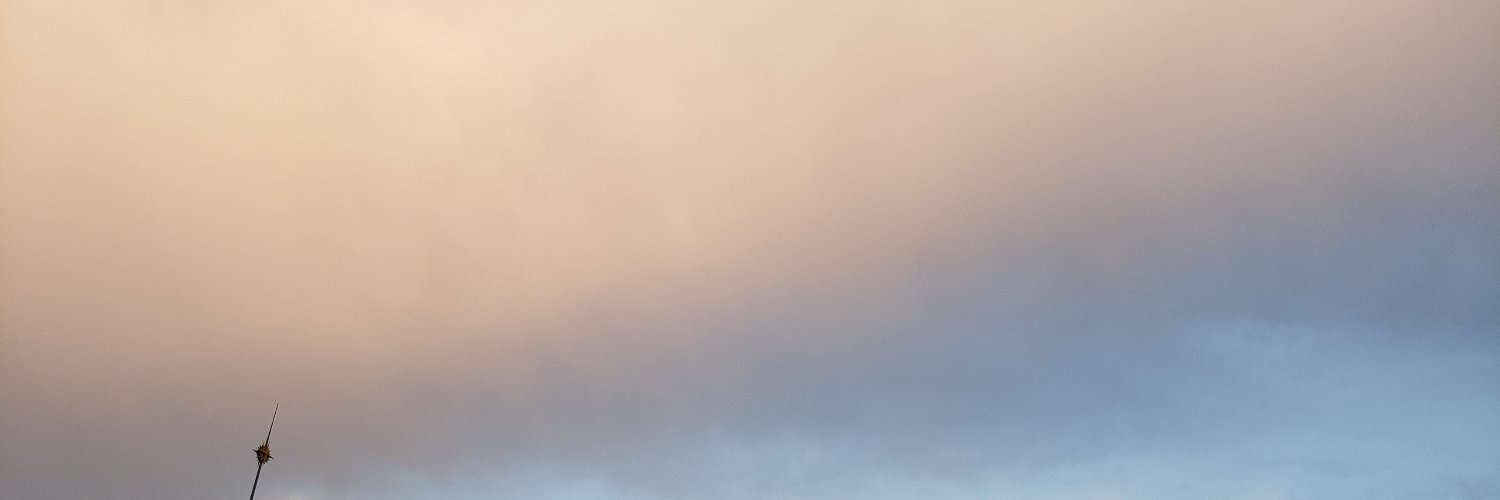 tansuo banner