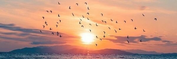 blagale's profile banner image