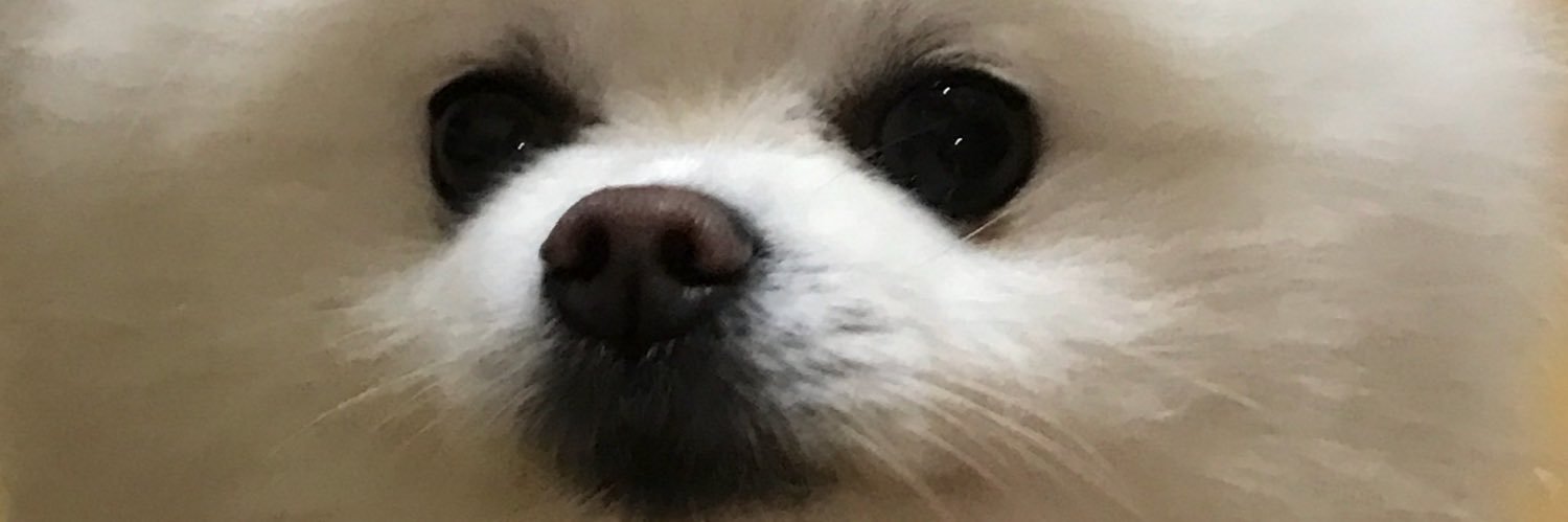 yu0_0u's profile banner image