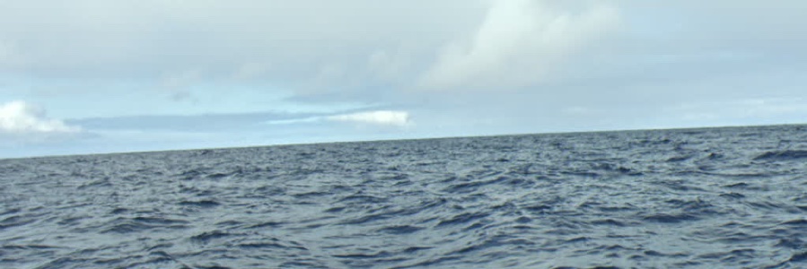 CantBeSerious banner