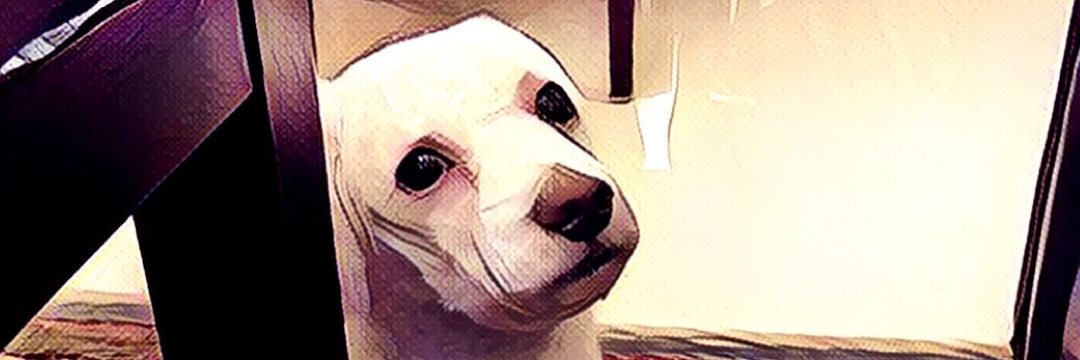 binhuhu's profile banner image