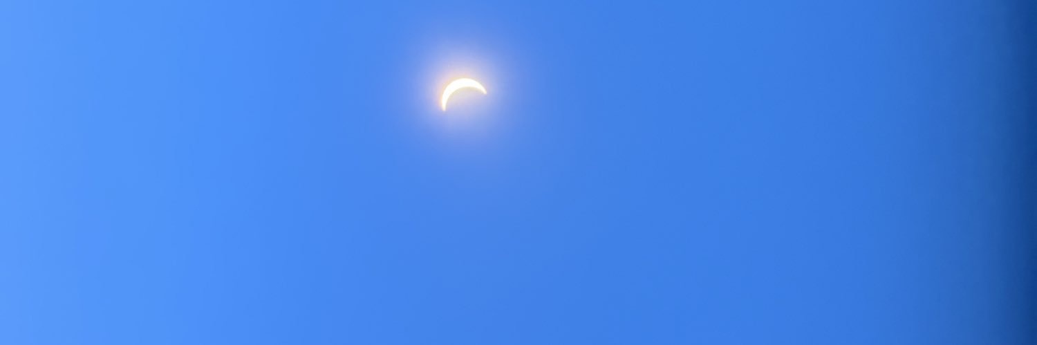 Bella banner