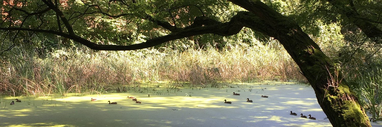 Hnerykus Cholerykus banner