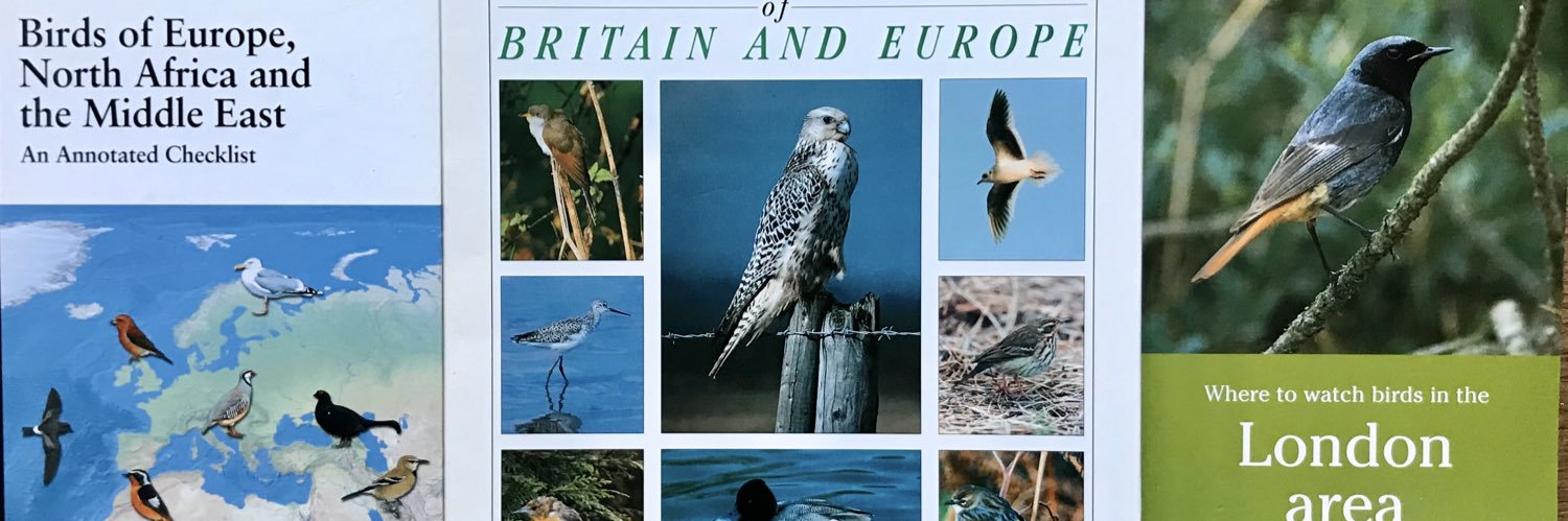 Dominic Mitchell banner