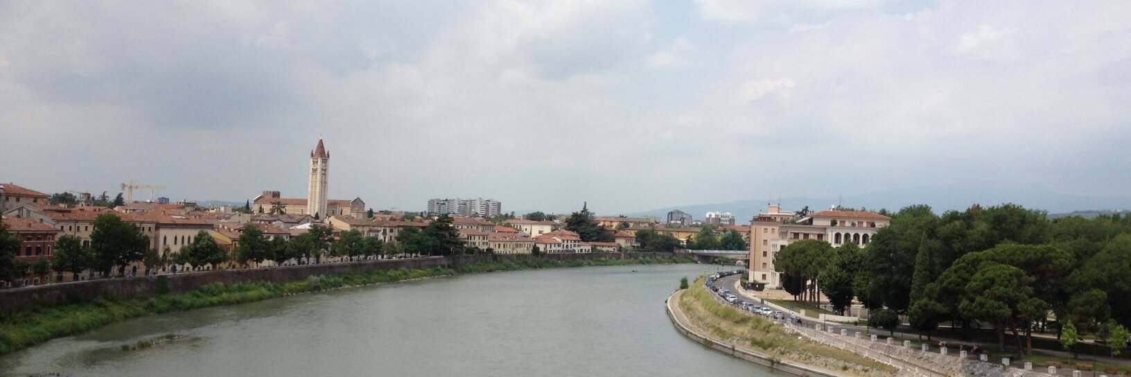 Sally Hampton banner