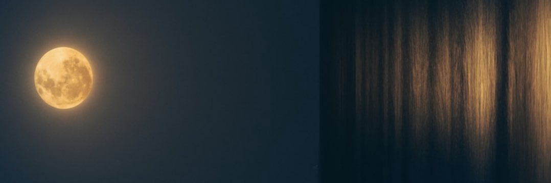 XavierFerguson's profile banner image