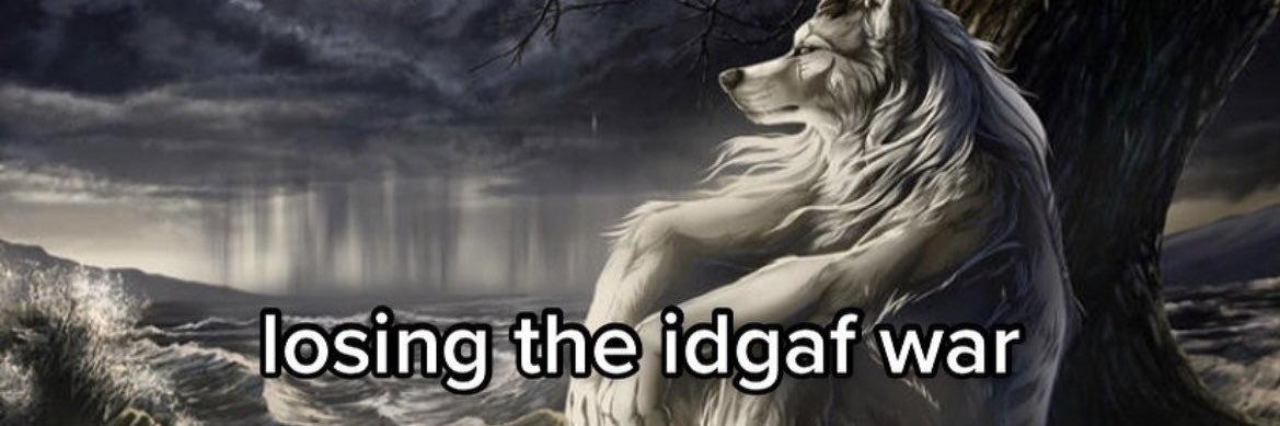 naapsvault's profile banner image