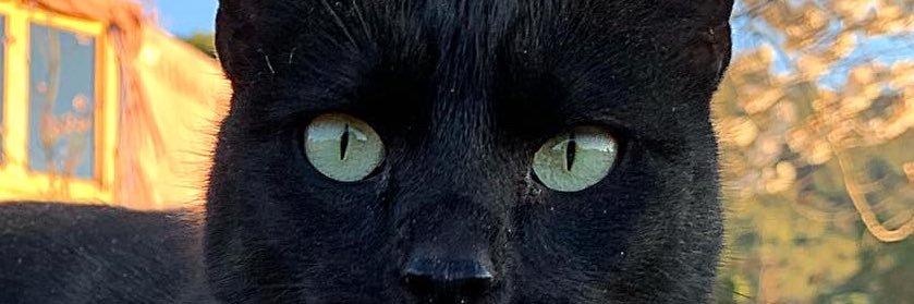 AlexLopezFluxa's profile banner image