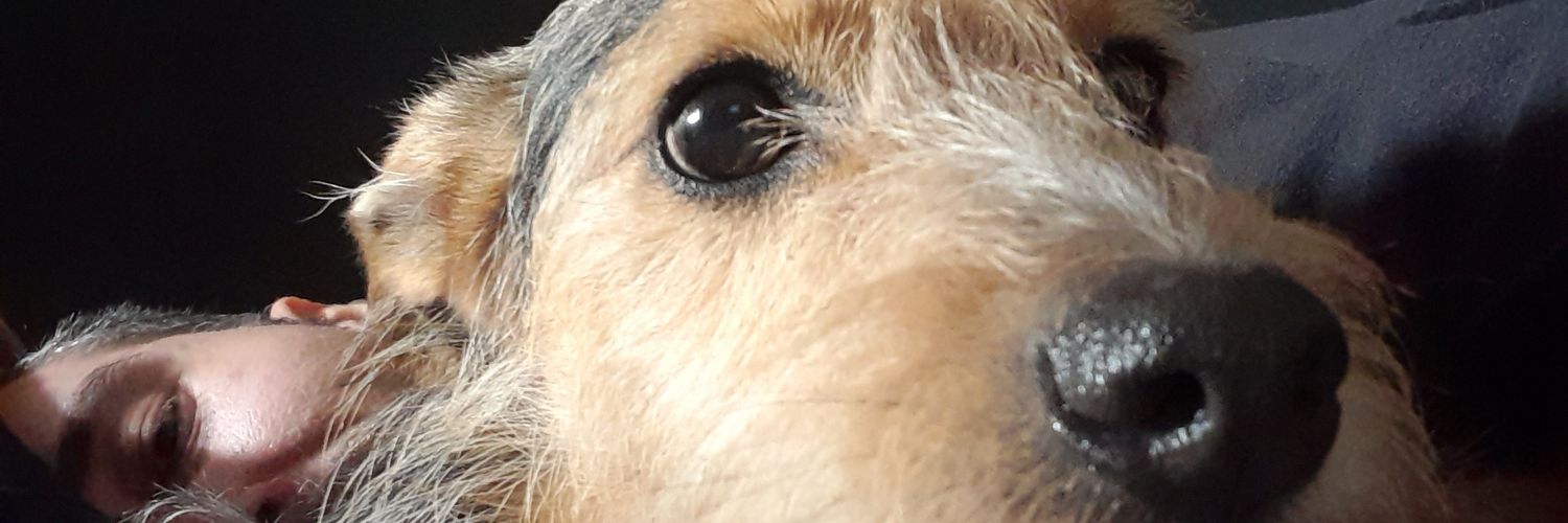 pablopeil's profile banner image