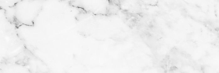 Ledian 🔴⚪️ banner