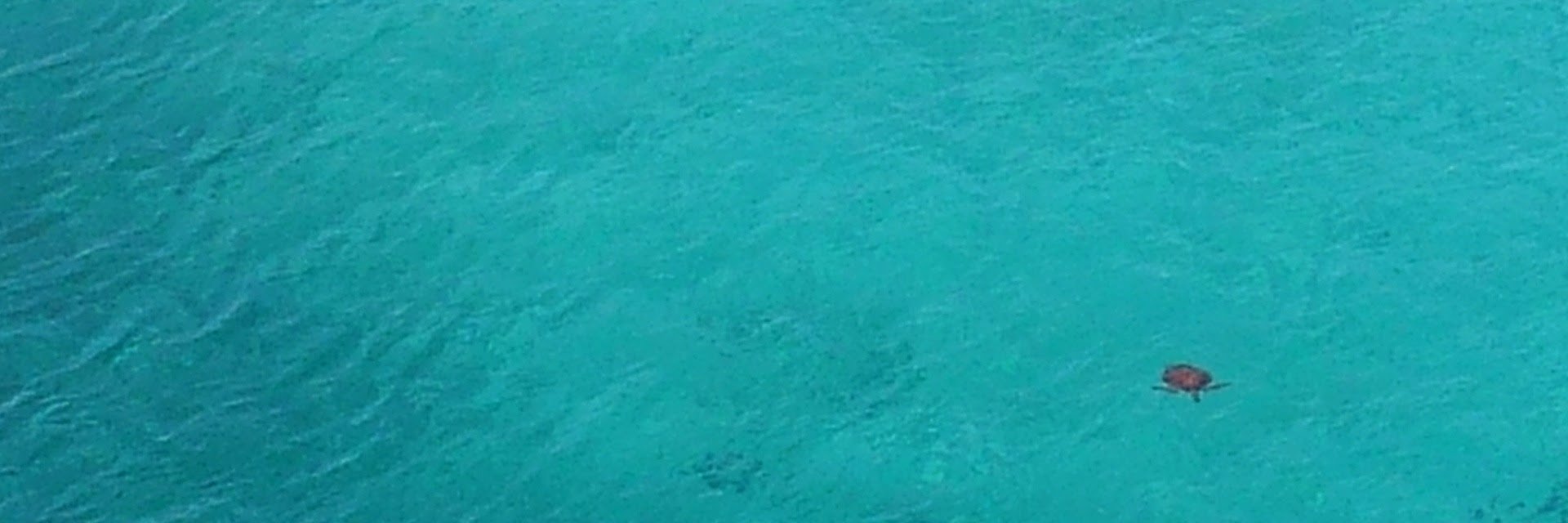 ripple73's profile banner image