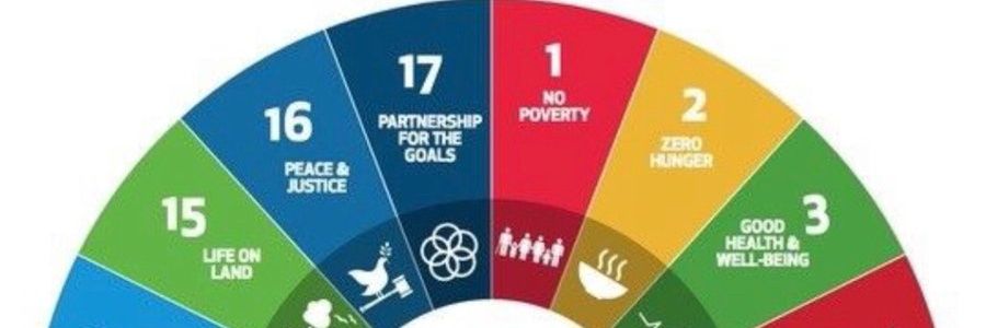 Gamndane Empowerment NPO 281-511 banner