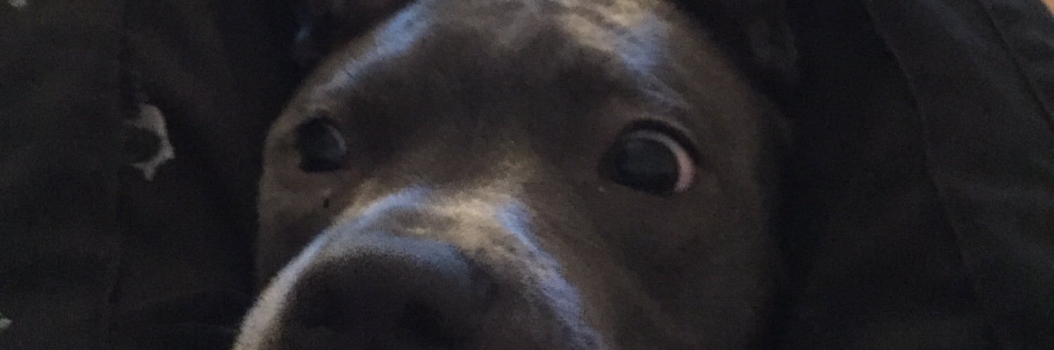 N_Roberts85's profile banner image