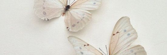 _HOORA_L's profile banner image
