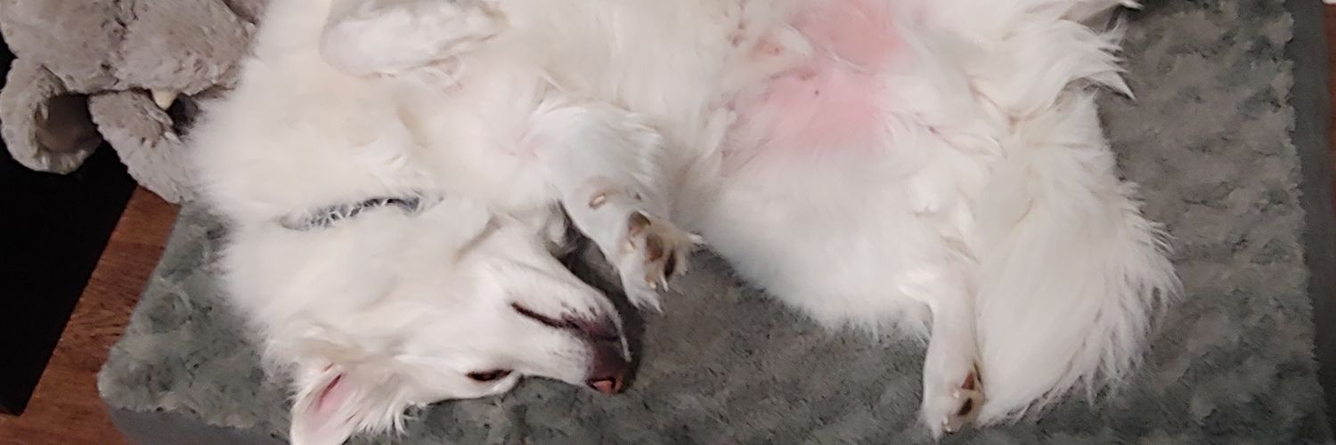 SoundsLikeNick's profile banner image