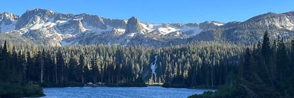 1337trees420 Profile Banner