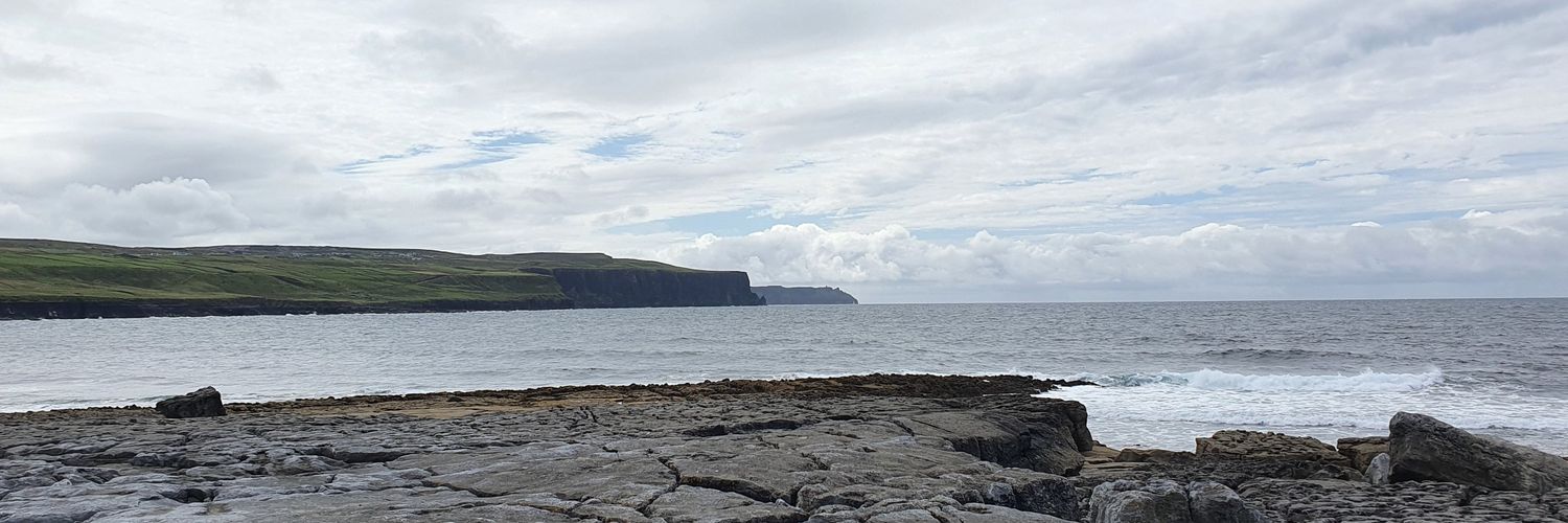 Alex Ní H-Éideáin banner