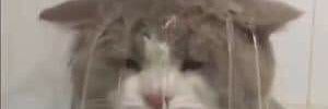 beyourluv_ banner