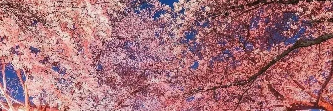 mmepunk's profile banner image