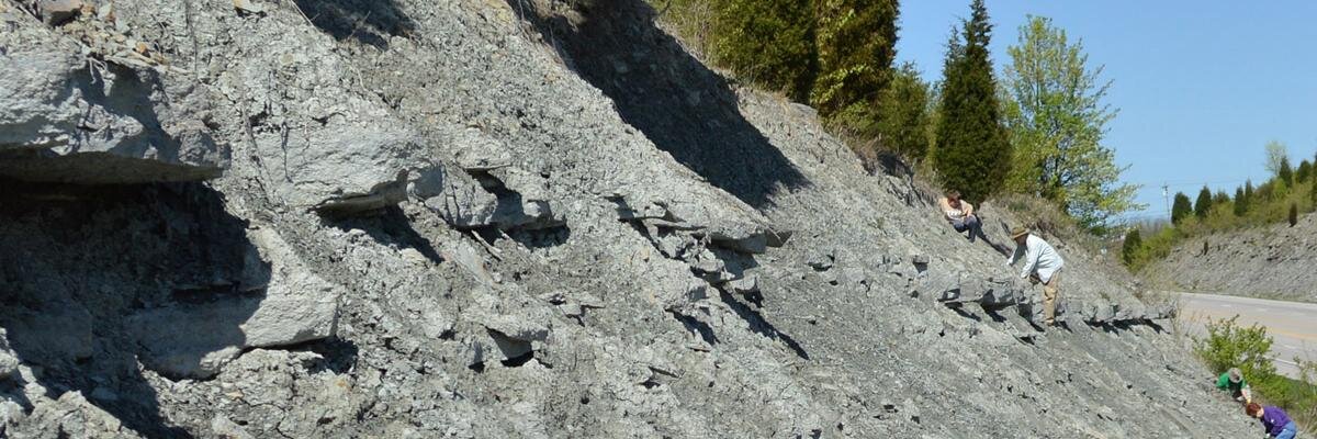 drydredgers's profile banner image