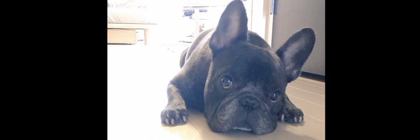 bluto_0930 Profile Banner