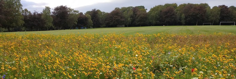 Convert Muslim Foundation banner